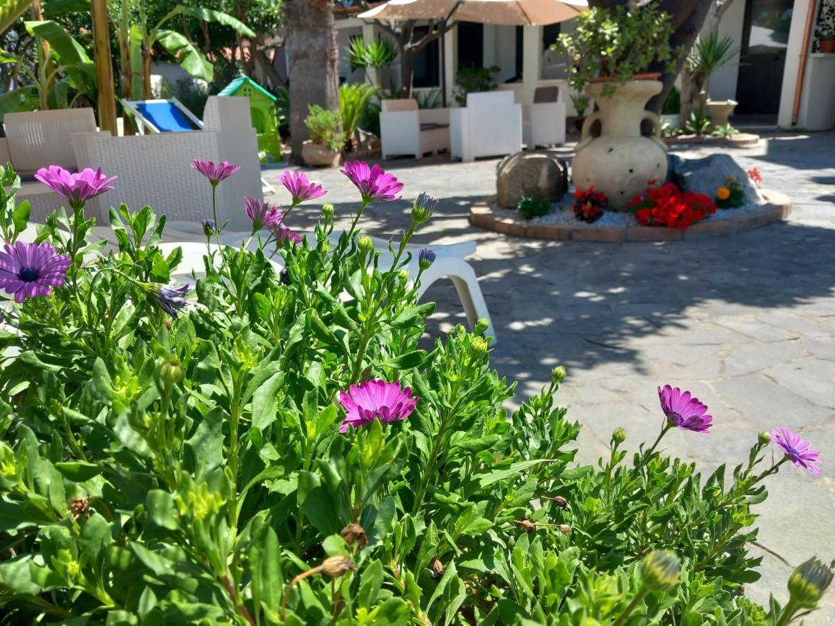 Appartamenti Tropea Gargano Parghelia Exteriör bild